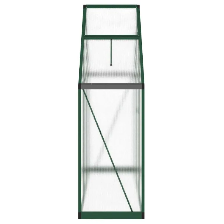 HUAKEHOM Gewächshaus mit Fundamentrahmen Pflanzenhaus mit Dachrinnensystem Flügeltür Treibhaus für Pflanzen Frühbeet Grün 169x58x195 cm Aluminimum – Bild 4