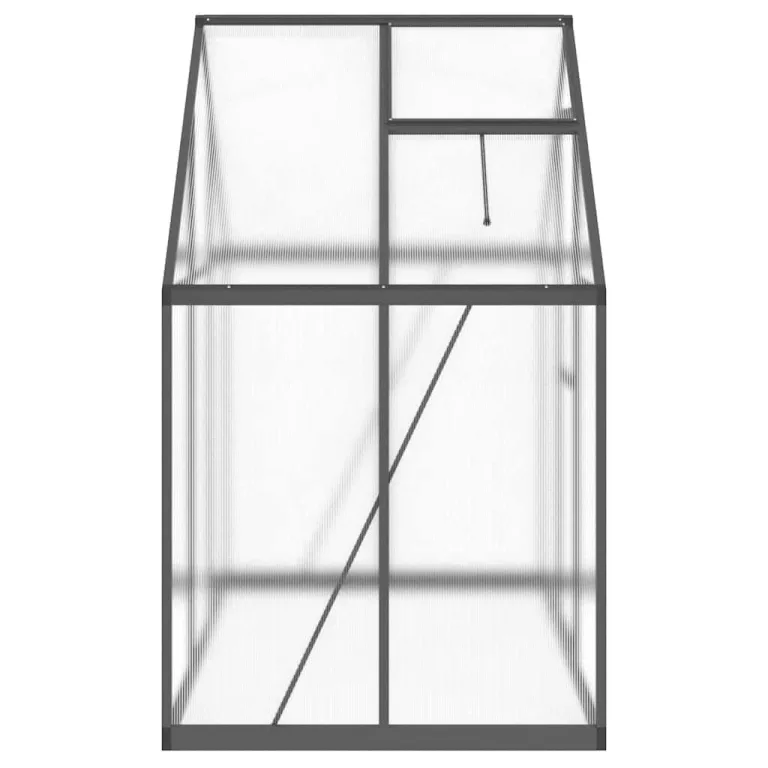 HUAKEHOM Gewächshaus mit Fundamentrahmen Pflanzenhaus mit Dachrinnensystem Flügeltür Treibhaus für Pflanzen Frühbeet Anthrazit 169x114x195 cm Alu – Bild 4