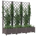 WGYHOME Garten-Pflanzgefäß mit Spalier Braun 120 x 40 x 121,5 cm PP Hochbeet für Gemüse extra groß Gemüsebeet Pflanzkübel Frühbeet Gartenbeet Pflanzkübel Blumenkasten für Garten Balkon und Terrasse - Thumbnail 1
