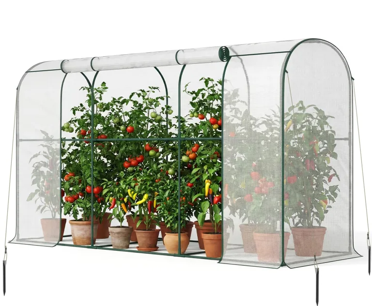 SUNYRISY Tomaten Gewächshaus Klein Foliengewächshaus 300x100x170 cm, Tomatenhaus Tomatenzelt mit Tomatendach, Greenhouse mit Rollentür und Windschutzseil für Balkon Outdoor, Bogen Weiß – Bild 1