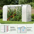 SUNYRISY Tomaten Gewächshaus Klein Foliengewächshaus 300x100x170 cm, Tomatenhaus Tomatenzelt mit Tomatendach, Greenhouse mit Rollentür und Windschutzseil für Balkon Outdoor, Bogen Weiß - Thumbnail 6