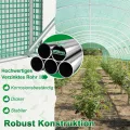 Froadp Gewächshaus Folientunnel 3 x 6 x 2 m, Tomatenhaus mit verzinktem Stahlrahmen, Foliengewächshaus mit Fenstern & Reißverschlusstüren, Gartengewächshaus für Gemüse & Pflanzen, Grün - Thumbnail 5