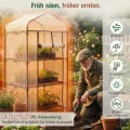 Sekey Mini Tomatengewächshaus 3 Etagen, Foliengewächshaus, Gewächshaus klein Balkon Winterfest - für Indoor & Outdoor Tomatenhaus mit herausnehmbaren Ebenen für Flexible Pflanzhöhe - Thumbnail 3