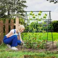 COSTWAY Gurke Rankhilfe Set, A-förmig, Pflanzenhalter mit Gartennetz & Pflanzenclips, Rankgitter Metall, Pflanzenstütze für Kletterpflanzen Blumen Nutzpflanzen, 130 x 105 x 151 cm, Schwarz - Thumbnail 8