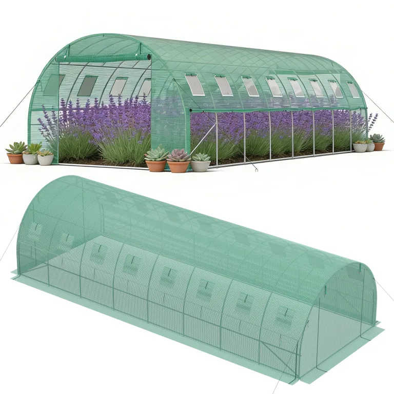 YRHome 3x8x2m Gartengewächshäuser mit Tür & Aufrollbare Fenster Foliengewächshaus mit Stahlfundament aus verzinktem Stahl Tomatenhaus Winterfest Folienzelt Treibhaus Pflanztunnel UV-Schutz für Gemüse – Bild 1