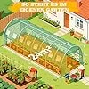 Outsunny Gewächshaus mit PE-Gitterfolie, Aufrollbare Tür Winterfest Foliengewächshaus aus Stahl, Treibhaus für Balkon, Garten, Tomatenhaus 100 x 80 x 150, Tomatengewächshaus für Tomaten Blumen, Grün – Bild 2