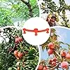 Pflanzen Trainings Clips,360 Grad Drehbare Verzweigungs Befestigungsklemmen - 10 Stück Pflanzenhalter Für Rankhilfe,Für Garten Gewächshaus Beet Tomaten Orchideen Kräuter Indoor Und Outdoor - Thumbnail 2