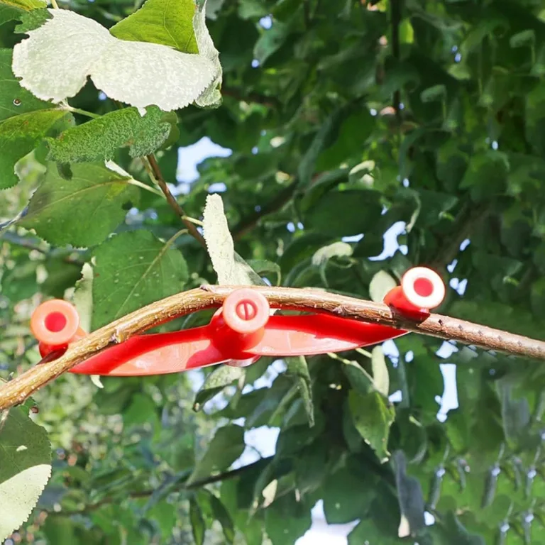 Pflanzklammern | 360 Grad Drehbarer Stützclip Für Stängel | 10 Stück Pflanzenstützklammern,Für Außen, Garten, Gewächshaus, Blumenbeet, Gemüse, Tomaten, Efeutute, Orchideen Und Innenraum – Bild 4