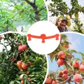 Low-Stress Trainingsclips - Um 360 Grad Drehbare Stängel-Spalier-Klemmen | 10 Stück Pflanzenhalter Für Rankhilfe | Für Garten Gewächshaus Beet Tomaten Orchideen Kräuter Indoor Und Outdoor - Thumbnail 5