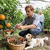 Pflanzenbieger-Clips – Flexibles rotierendes -Trainingsklemmen-Set, 10 Stück Pflanzenbefestigung, 360-Grad-Stützwerkzeug für Garten, Gewächshaus, Innen- und Außenbereich, Tomaten, Gemüse, - Thumbnail 2