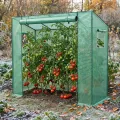 Aufun Gewächshaus Foliengewächshaus mit 2 Belüftungsfenster 200x80x150 cm, Stabil Begehbarers Tomaten Foliengewächshaus Balkon Outdoor, Winterfest Tomatenhaus für Optimales Pflanzenwachstum - Thumbnail 1
