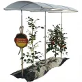 Beckmann Tomatendach PSN5 – Stabile Tomatenüberdachung & Überdachung für Hochbeet 500x112 cm – Winterfestes Alu Schutzdach, hagelfeste 6mm Platten gegen Braunfäule – Höhenverstellbar - Thumbnail 7