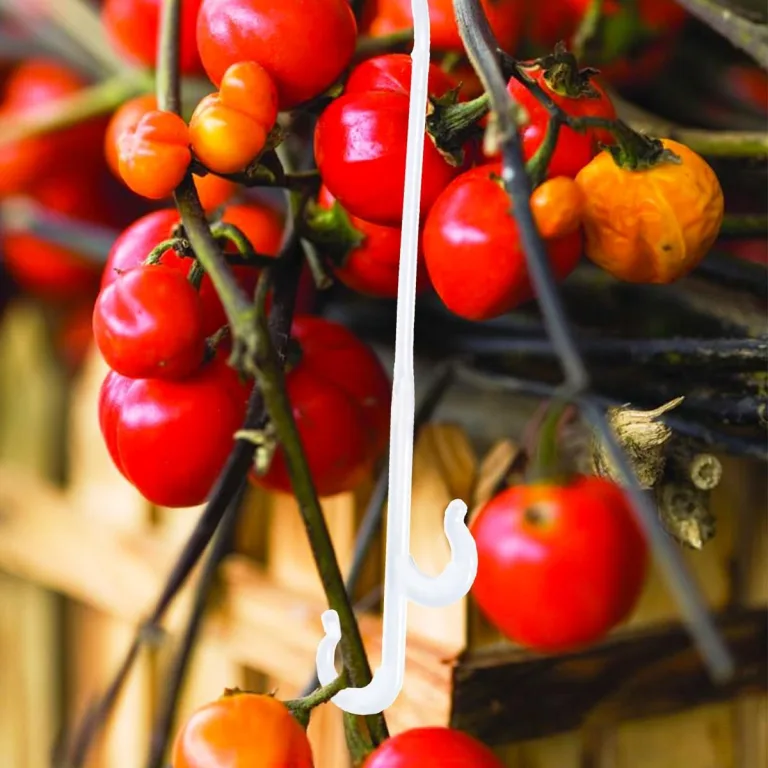 Toddmomy 850 Stück Tomaten Fruchthaken Pflanzenstützhaken aus Bruchfestem Kunststoff Weiß 13cm für Gewächshaus Garten Gemüsepflanzenaufhängung – Bild 6