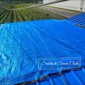 Sonnenschutznetz für den Außenbereich, 98 % UV-Block, blaues Schattentuch mit Ösen, Netzplane für Gewächshaus, Zwinger, Pflanzen, Tomaten (6 x 6 m) - Thumbnail 5
