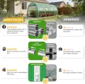 Soontrans Gewächshaus 3 x 4 m, Mehr Raum für den Übergang & Früher Saisonstart, Mittleres Tunnel Foliengewächshaus mit Aufrollbaren Seitenwänden & Meshnetzfensten & Tür, Stahlgestell Bogendach - Thumbnail 9
