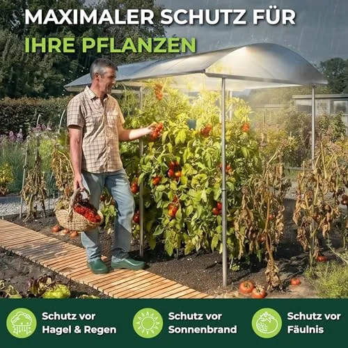 Beckmann Tomatendach PSR4 – Stabile Tomatenüberdachung & Überdachung für Hochbeet 400x150 cm – Winterfestes Alu Schutzdach, hagelfeste 6mm Platten gegen Braunfäule – Höhenverstellbar – Bild 7