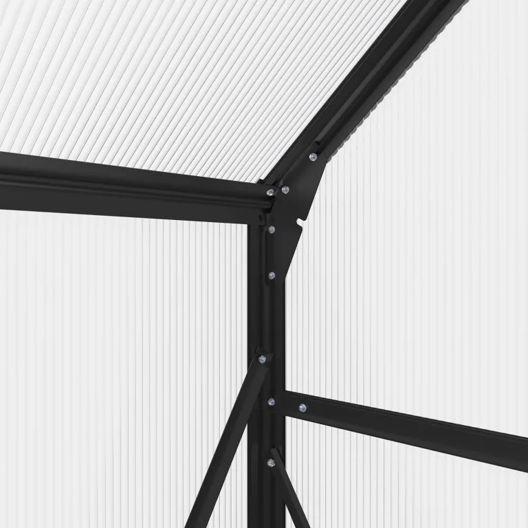 AXI Simon Gewächshaus aus Aluminium & Polycarbonat in Schwarz | Treibhaus mit Schiebetür & Fenster Winterfest | Mit integrierter Drainage | 250x190x207 cm – Bild 5