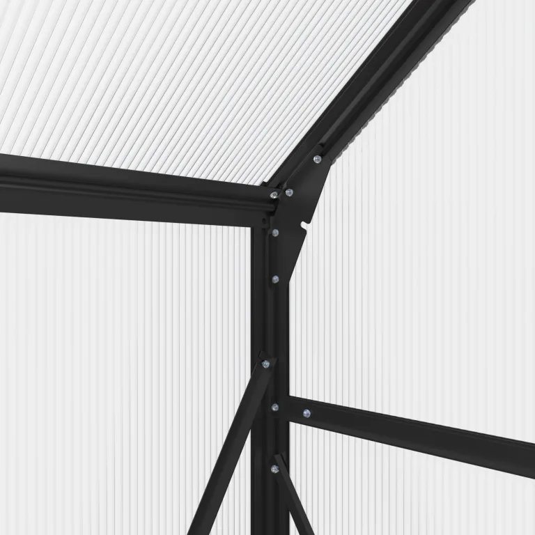 AXI Simon Gewächshaus aus Aluminium & Polycarbonat in Schwarz | Treibhaus mit Schiebetür & Fenster Winterfest | Mit integrierter Drainage | 310x190x207 cm – Bild 6