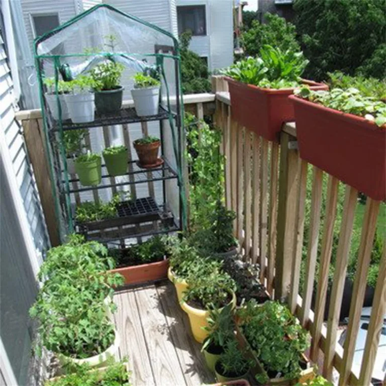 Tragbares Gewächshaus, 69x49x126cm Mini Gewächshaus Klein, Wiederverwendbares Warmhaus, Schutz vor Kälte, Hochwertiges Anzuchthaus Garten Balkon Stabil & Einfach zu Montieren – Bild 2