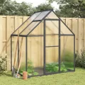 Gewächshaus mit Fundamentrahmen - Aluminium/PC, Pflanzenhaus mit Dachrinnensystem Flügeltür, Treibhaus für Pflanzen, Frühbeet (169 x 114 x 195 cm) - Thumbnail 2