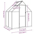 Gewächshaus mit Fundamentrahmen - Aluminium/PC, Pflanzenhaus mit Dachrinnensystem Flügeltür, Treibhaus für Pflanzen, Frühbeet (169 x 114 x 195 cm) - Thumbnail 3