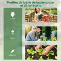 Outsunny Quadratischer Gartenbeet mit Mini-Gewächshaus, Hochbeet, Blumenkasten aus verzinktem Stahl, für Kräuter und Gemüse im Garten, Balkon, Terrasse, Dunkelgrau - Thumbnail 6