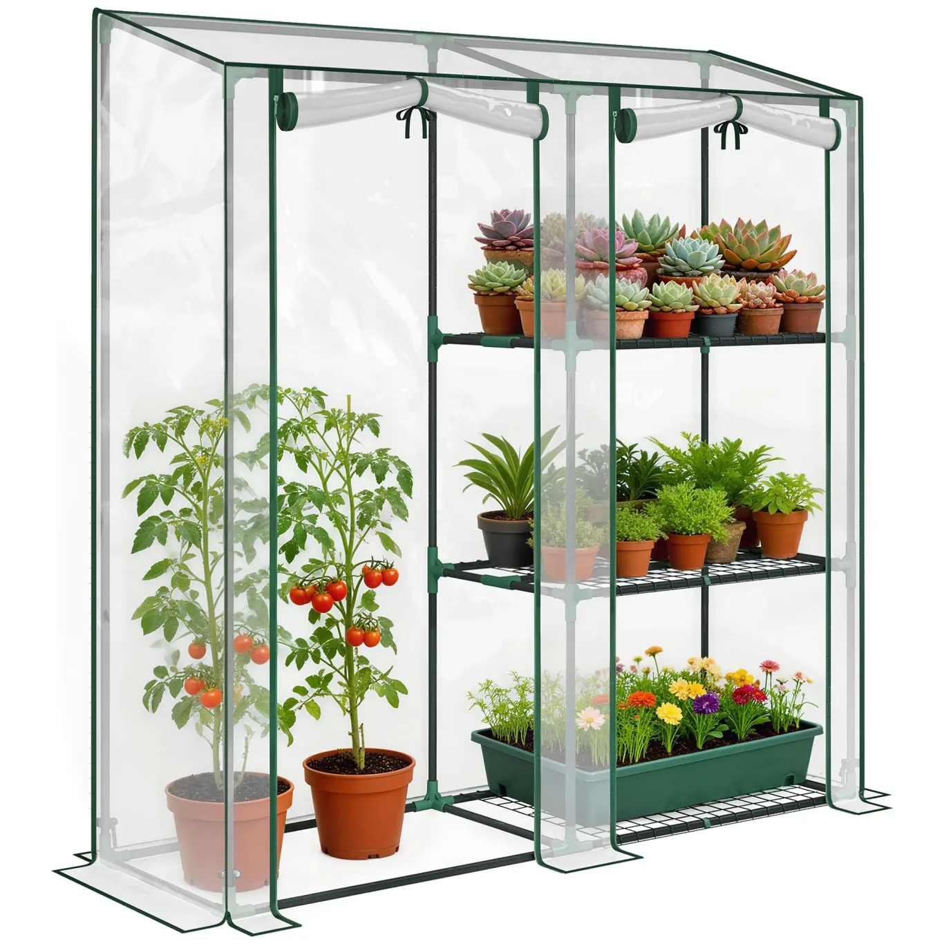 Outsunny Gewächshaus mit 3 Regalböden, kleines Balkongewächshaus aus PVC-Plane und Stahlrahmen, 2 Rolltüren, für Gemüse, Pflanzen und Blumen, 143 x 45 x 151 cm, transparent - Bild 1