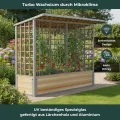 Easyfit Tomatenhaus aus Aluminium & Lärchenholz inkl. Pflanztröge – Stabiles Tomatengewächshaus mit Schiebetüren & UV-Schutz – Witterungsbeständig & Langlebig – Made in Austria 25-50-20 - Thumbnail 2