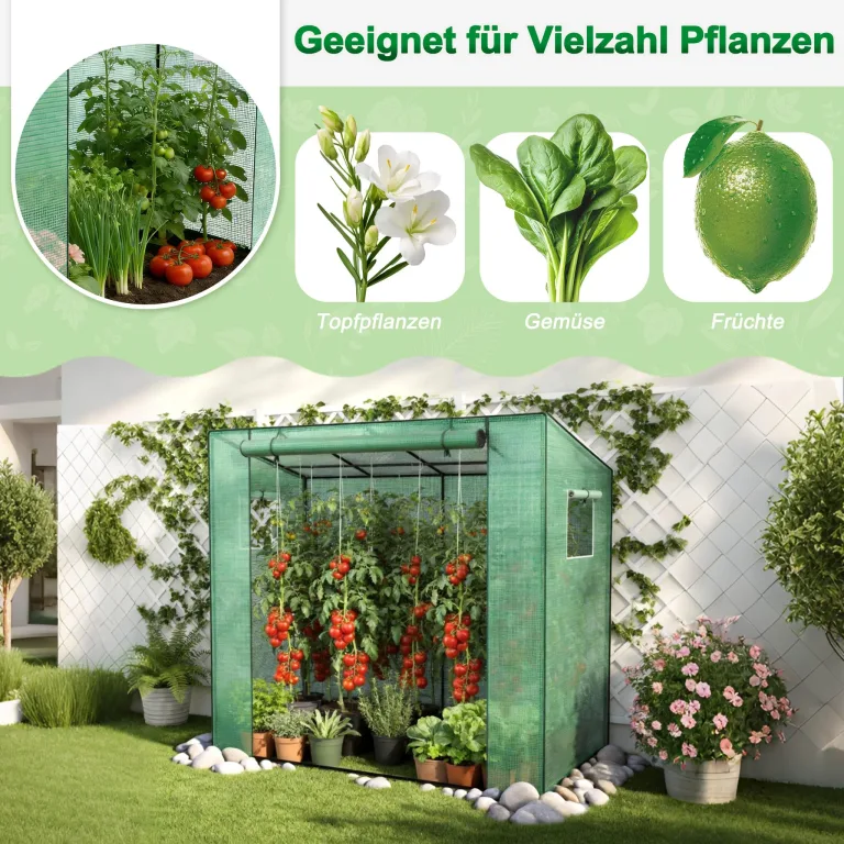 YRHome Schrägdach Gewächshau 200 x 80 x 150 cm Mit Tür & Aufrollbare Fenster Atmungsaktives Gewächshaus,Verzinktem Stahl Rohre Tomatenhaus UV-Schutz für Gemüse,Grün – Bild 7