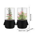 Blumentopf-Frostabdeckung, Mini-Gewächshaus Pflanzenschutz, kältebeständige transparente Abdeckung, einfache Einrichtung, Pflanzenschutz für Sämlinge Kräuter Blumen Indoor Outdoor Garten Balkon - Thumbnail 6
