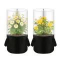 Blumentopf-Frostabdeckung, Mini-Gewächshaus Pflanzenschutz, kältebeständige transparente Abdeckung, einfache Einrichtung, Pflanzenschutz für Sämlinge Kräuter Blumen Indoor Outdoor Garten Balkon - Thumbnail 10