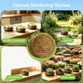 45er Jutte Microgreens Anzuchtschalen mit 500g/m², 95x95x5mm, Kresse Anzuchtschalen Set mit 3 Edelstahl Trays, Biologisch Abbaubares, Sprossen Anzuchtschale für Weizengras, Tomaten - Thumbnail 7