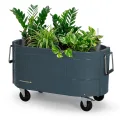 Permasteel Hochbeet Metall mit Rollen für Garten oder Balkon - Pflanzkübel groß außen 57x42x82 cm - Selbstbewässerungssystem, Wasserstandsanzeige und Ablassventil - Für Gemüse, Kräuter oder Blumen - Thumbnail 1