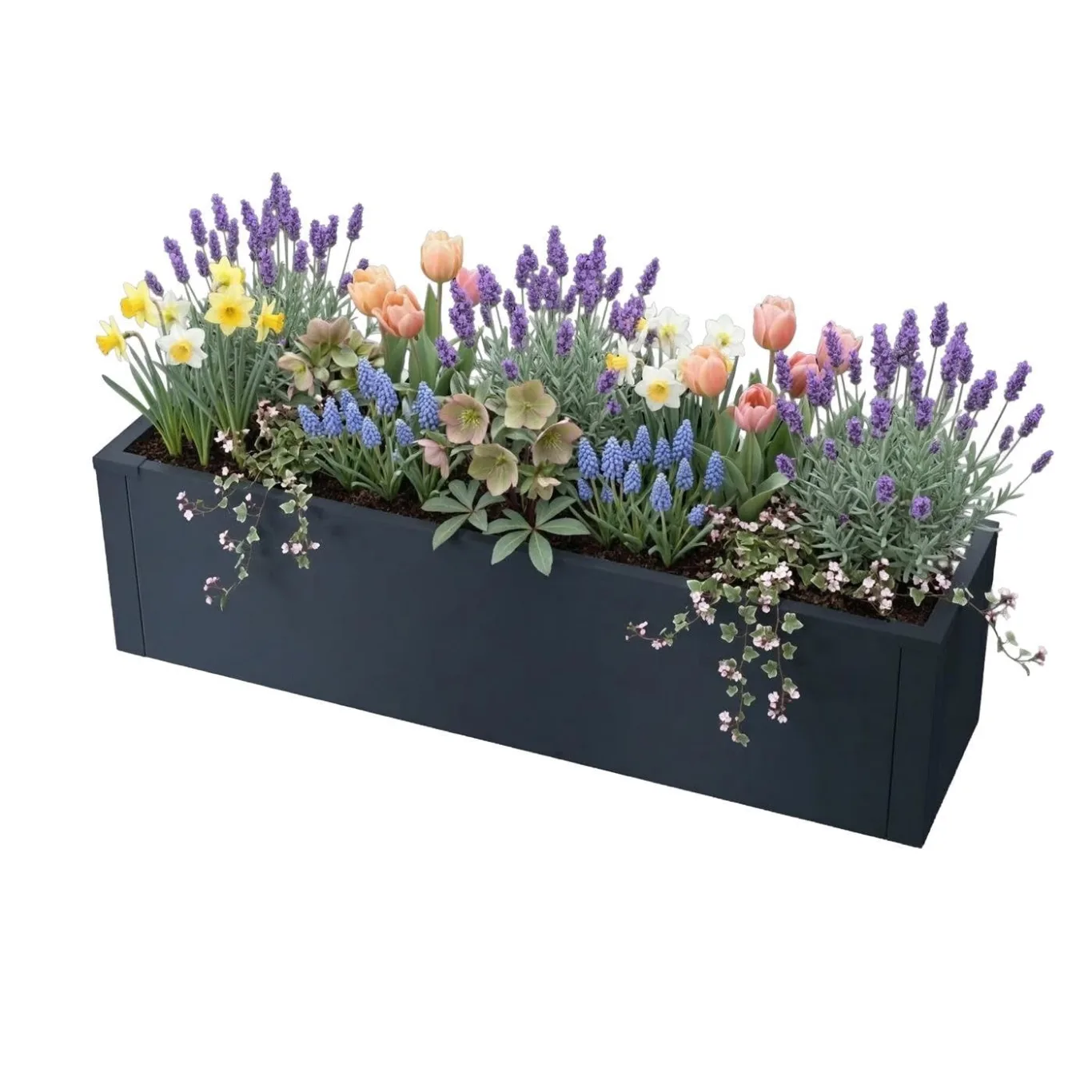Metzler Hochbeet S für den Garten | kompakte Größe | Pulverbeschichteter Stahl in Anthrazit RAL 7016 | Witterungsbeständiges Metall-Gartenbeet, Pflanzenbeet, Blumenhochbeet | 25 x 100 x 27 cm - Bild 1