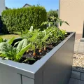 Metzler Hochbeet S für den Garten | kompakte Größe | Pulverbeschichteter Stahl in Anthrazit RAL 7016 | Witterungsbeständiges Metall-Gartenbeet, Pflanzenbeet, Blumenhochbeet | 25 x 100 x 27 cm - Thumbnail 5