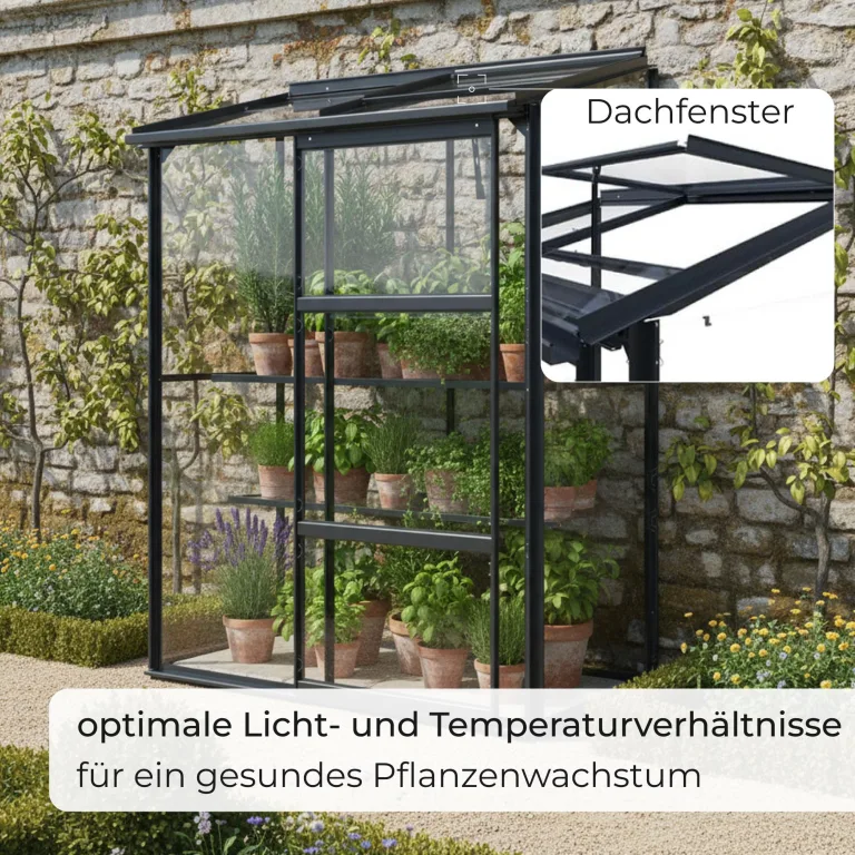 Gewächshaus Glas 0,9 m² Aluminium Rahmen mit Schiebetür | Premium Wand-Gewächshaus schwarz Temperaturkontrolle Aufstellfenster | Tomaten- und Anzuchtgewächshaus 130 x 68 x 173 cm (B x T x H) – Bild 4
