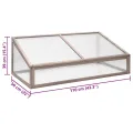 ACAGALA Gewächshaus 110x56x39 cm, Frühbeet aus Massives Tannenholz und PC-Platte, Hochbeet Kasten Mini Gewächshaus Frühbeetkasten für Pflanzen im Frühjahr, Klappdeckels, Grau - Thumbnail 7