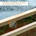 dobar® Tomatenhaus aus Holz mit PVC-Schutzscheiben kleines Gewächshaus für Tomaten, Gurken & Gemüse im Gartenbeet Pflanzenhaus mit Rankhilfe für geschützten Gemüseanbau 116 x 71 x 120 cm - Thumbnail 4