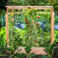 dobar® Tomatenhaus aus Holz mit PVC-Schutzscheiben kleines Gewächshaus für Tomaten, Gurken & Gemüse im Gartenbeet Pflanzenhaus mit Rankhilfe für geschützten Gemüseanbau 116 x 71 x 120 cm - Thumbnail 5
