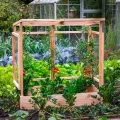 dobar® Tomatenhaus aus Holz mit PVC-Schutzscheiben kleines Gewächshaus für Tomaten, Gurken & Gemüse im Gartenbeet Pflanzenhaus mit Rankhilfe für geschützten Gemüseanbau 116 x 71 x 120 cm - Thumbnail 6