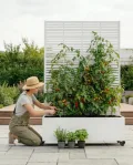 Hochbeet mit Sichtschutz, Metall Pflanzkasten mit Rankgitter und Rollen, freistehender Pflanzkübel 33cm tief, wetterfest für Blumen und Kletterpflanzen - Ideal für Garten, Balkon und Terrasse (Weiß) - Thumbnail 7