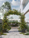 Gartenbogen Rankhilfe aus Metall für Kletterpflanzen – Stabiler Rosenbogen Garten, Rankbogen für Rosen, Clematis & Gemüse – Hochzeitsbogen, Ballonbogen, Foto Hintergrund für Party & Hochbeet, 180cm - Thumbnail 6