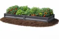 Botanic Hochbeet Metall 200x100x20 cm, verzinkter Stahl, wetterfest & rostfrei, Metallhochbeet Anthrazit mit Bodenankern, stabiles Gartenbeet für Gemüse, Kräuter und Blumen - Thumbnail 1