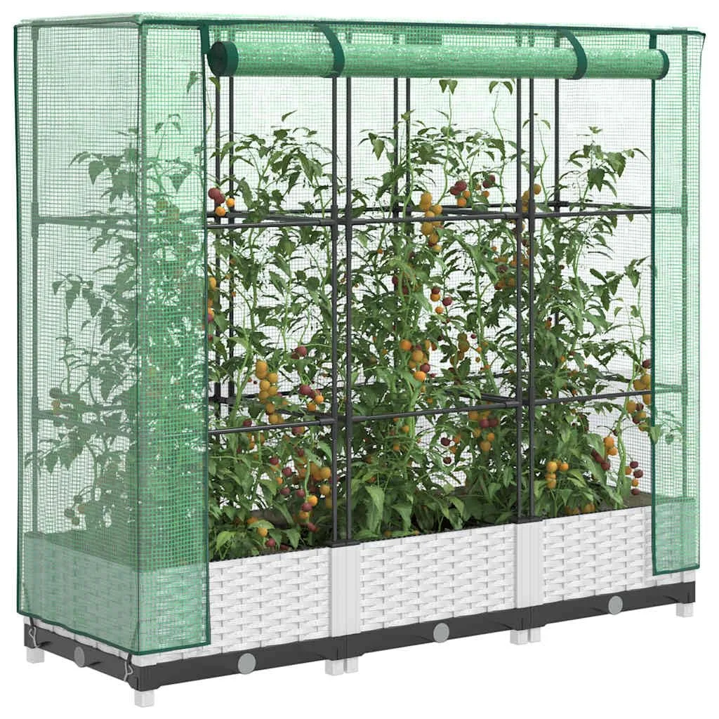 Hochbeet mit Gewächshaus Frühbeet Tomatenhaus 120x40x123 cm Rattan Optik Weiß, Stabiles PP Beet mit Eisenrahmen und Wasserdichter Abdeckung für Garten Balkon Terrasse