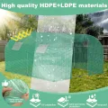 Gewächshaus 3x6 m groß, Foliengewächshaus mit 6 Fenstern & Tür, verzinkter Stahlrahmen, UV-beständige Abdeckung, Tomatenhaus für Pflanzen & Gemüse - Thumbnail 3