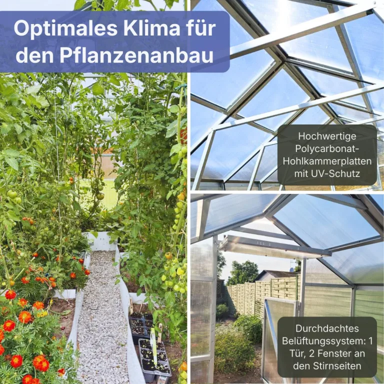 Classic Gewächshaus aus Stahl 250x400x220cm mit Fundament | 6 mm Hohlkammerplatten UV-beständig | Winterfest Treibhaus, Pflanzenhaus, Tomatenhaus für Garten – Bild 4