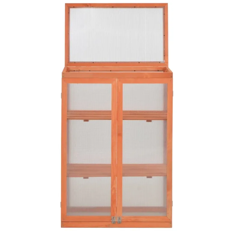 Gewächshaus Schrank Holz mit 2 Regalen 75x47x109 cm wetterfest frostschutz für Garten Balkon Terrasse zur Aufzucht von Kräutern Gemüse Blumen und Tomaten im Frühbeet Anbau – Bild 2