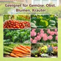 Thanaddo Hochbeet Metall Pflanzbeet, 190x90x64cm rechteckig Gemüsebeet aus verzinktem Stahl in Holzoptik, Gartenbeet Pflanzkasten Pflanzkasten Blumenkasten für Garten & Terrasse - Thumbnail 8