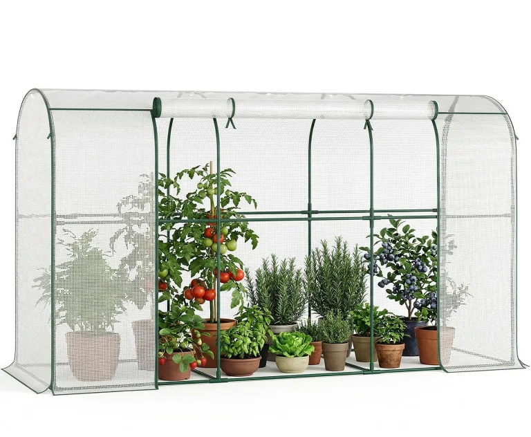 Gewächshaus - 300x100x170 cm - Begehbarer Tomatengewächshaus Foliengewächshaus für Pflanzen - Stabil, UV-Beständig, Optimales Pflanzenwachstum - Frühbeet, Gemüse, Blumen, Obst – Bild 1