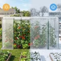 Gewächshaus - 300x100x170 cm - Begehbarer Tomatengewächshaus Foliengewächshaus für Pflanzen - Stabil, UV-Beständig, Optimales Pflanzenwachstum - Frühbeet, Gemüse, Blumen, Obst - Thumbnail 6